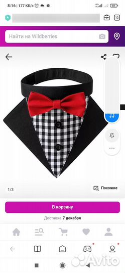 Бабочка, смокинг для собаки