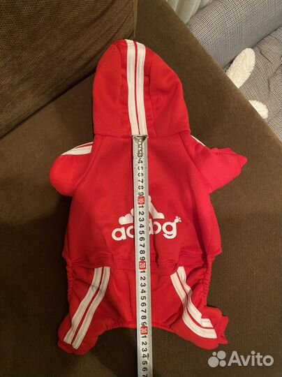 Одежда для собак мелких пород