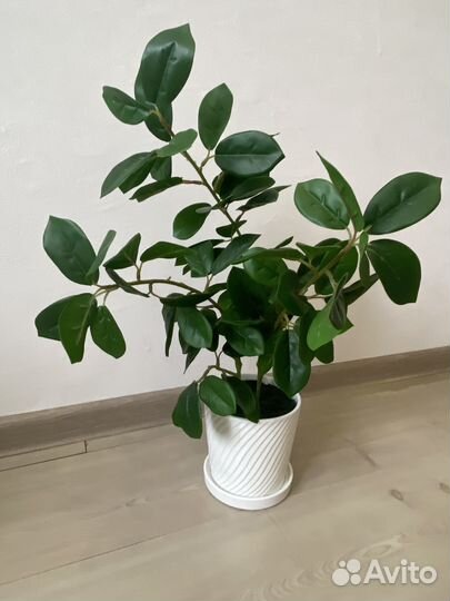 Новые искусственные растения в горшках