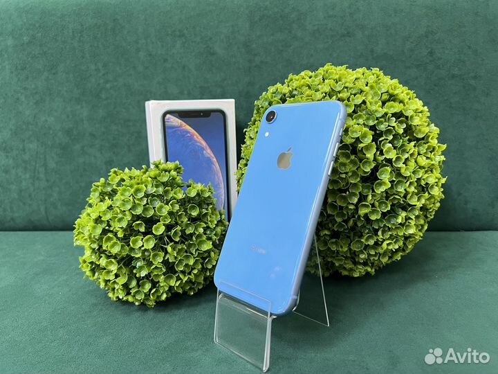 iPhone Xr, 128 ГБ