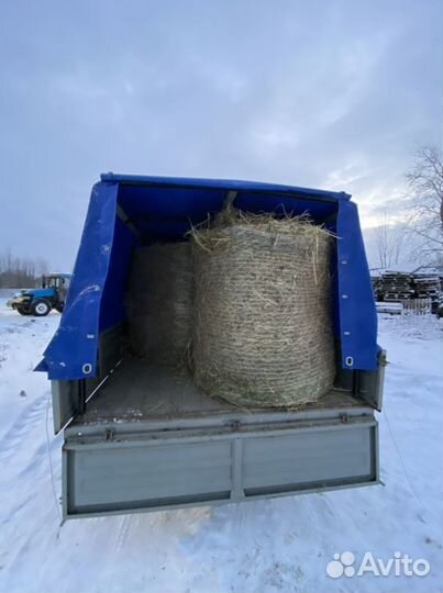 Грузоперевозки газель