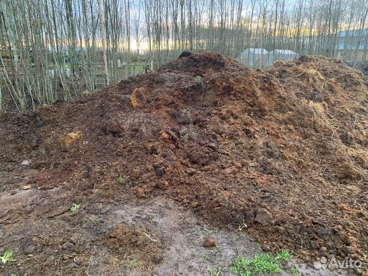 Конский навоз