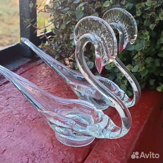 Лебеди СССР