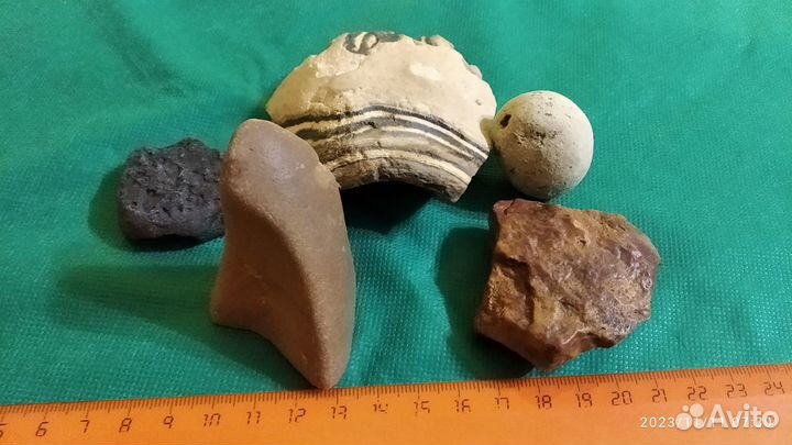 Травоядный динозавр Анкилозавр - 5 эксп. Мезозой