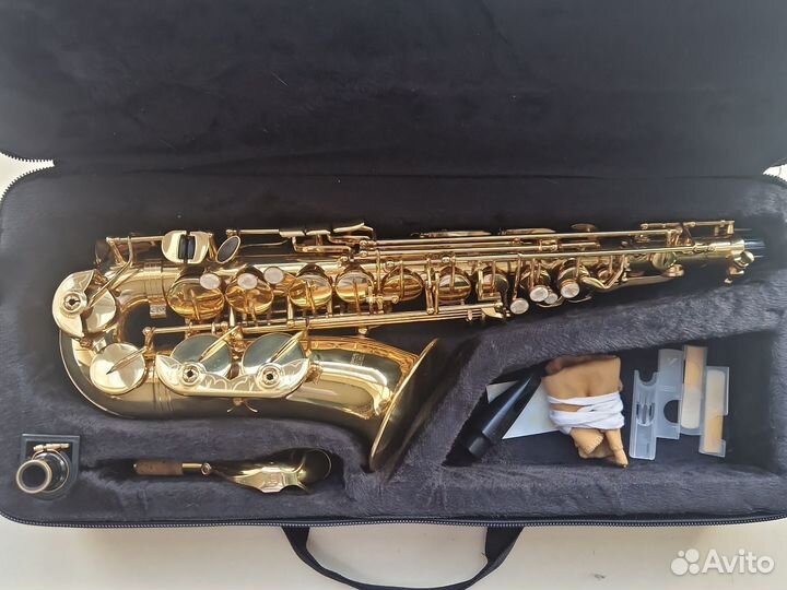 Саксофон для начинающих Roy Benson AS-201