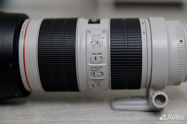 Canon EF 70-200mm f/2.8L IS iiiusm