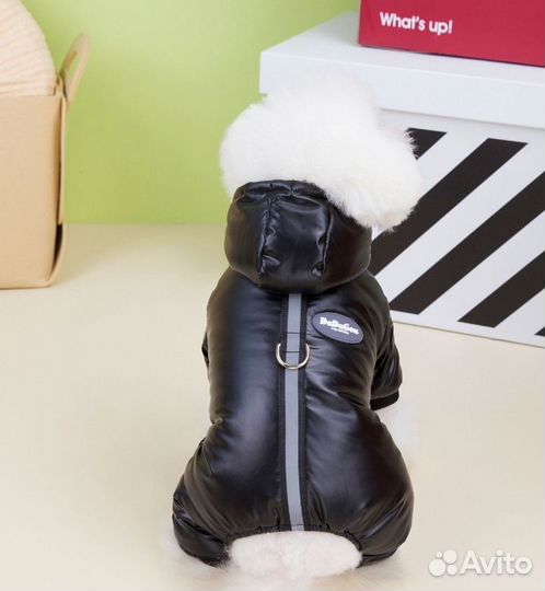 Комбинезон для маленькой собаки