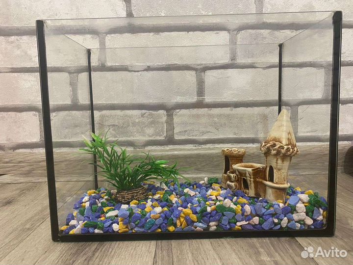 Аквариум с оборудованием