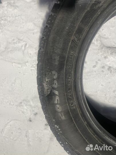 Formula Ice 205/60 R16 96T