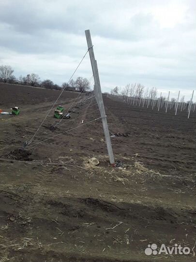 Сады под ключ