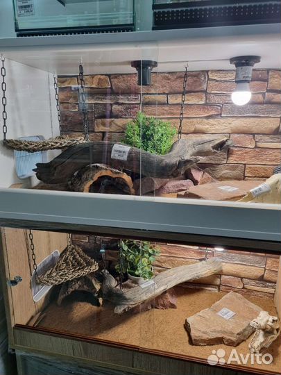 Террариум для пауков, эублефаров, агам
