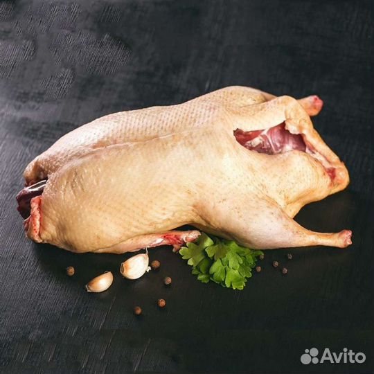 Гуси, Утки, Куры