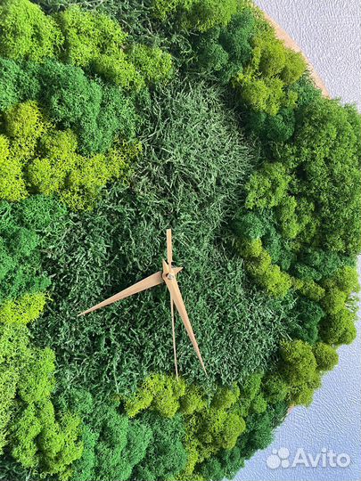 Часы из стабилизированного мха, флорариумы с мхом