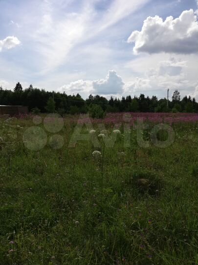 Участок 15 сот. (ИЖС)