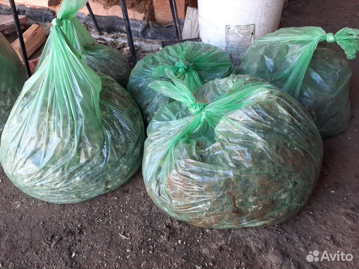 Перепелиный помет