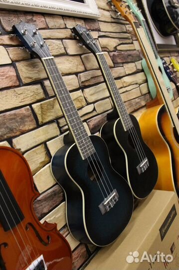 Гавайская гитара