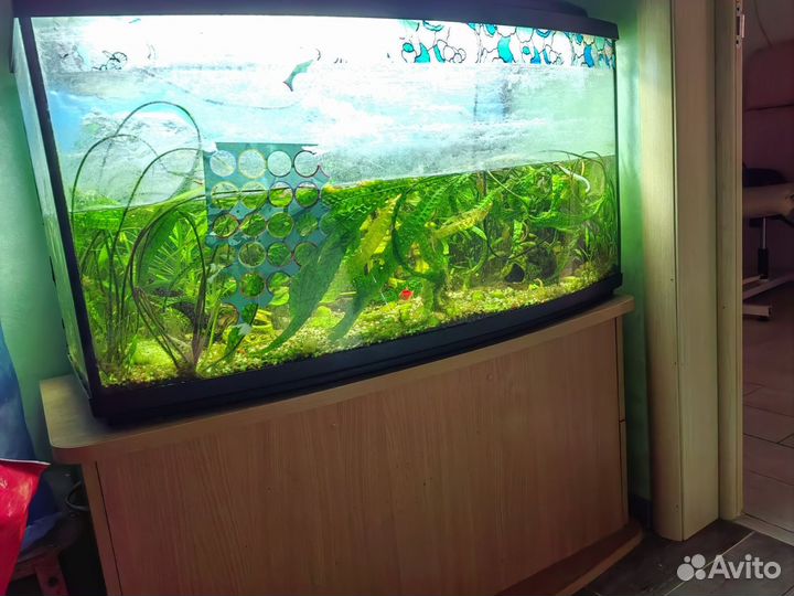 Аквариум 200 литров с тумбой