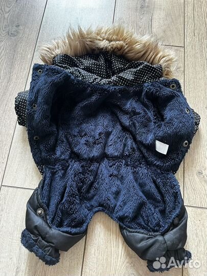 Костюм для собаки зимний