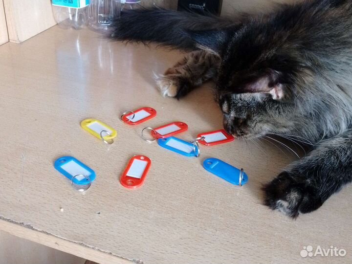 Брелок номерной