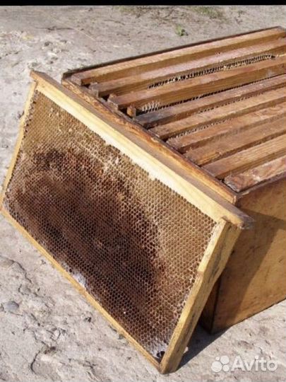 Сушь для пчел