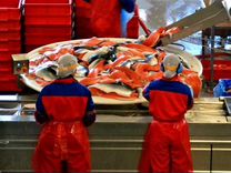Упаковщик рыбзавод в Германию гражданам снг