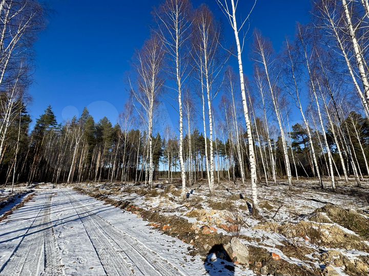 Участок 6 сот. (ИЖС)