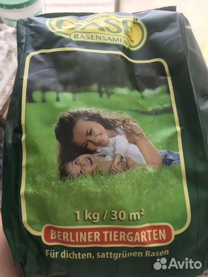 Герань мультиблум (Доставка бесплатная)