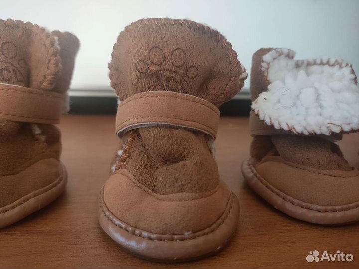 Ботинки для собак