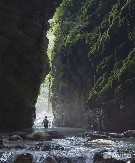 Абхазия отдых 2023