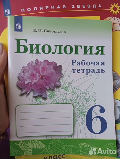 6 класс. рабочие тетради. контурные. впр
