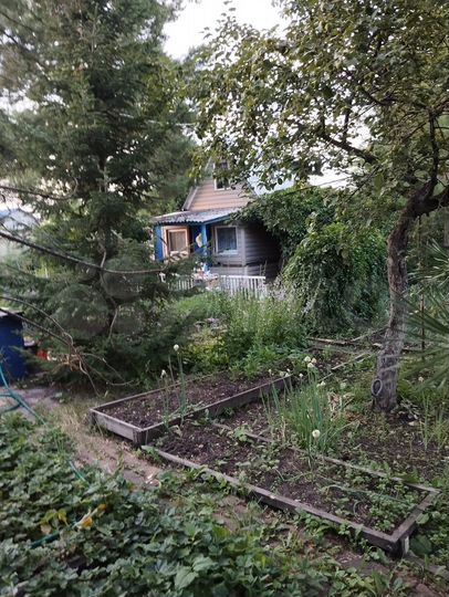 Дача 20 м² на участке 6 сот.