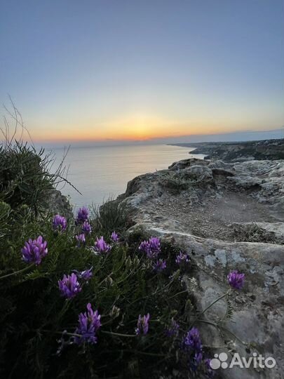 Туры по крыму и севастополю