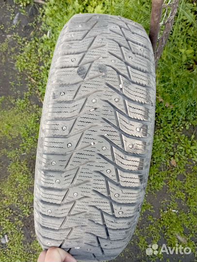 Sailun Ice Blazer WST3 175/65 R14 86T