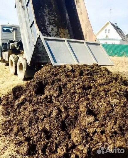 Навоз Чернозем