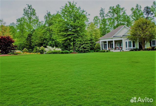 Травосмесь от производителя