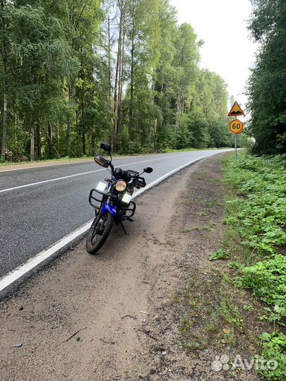 Альфа Хантер