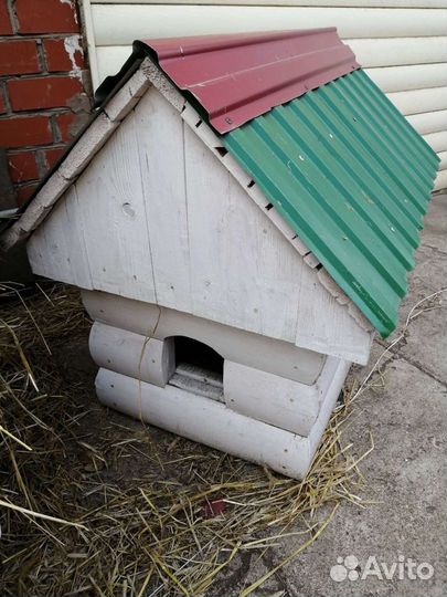 Собачья будка