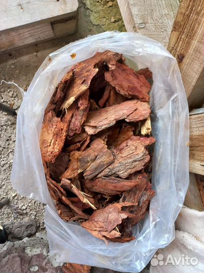 Кора байкальской лиственницы