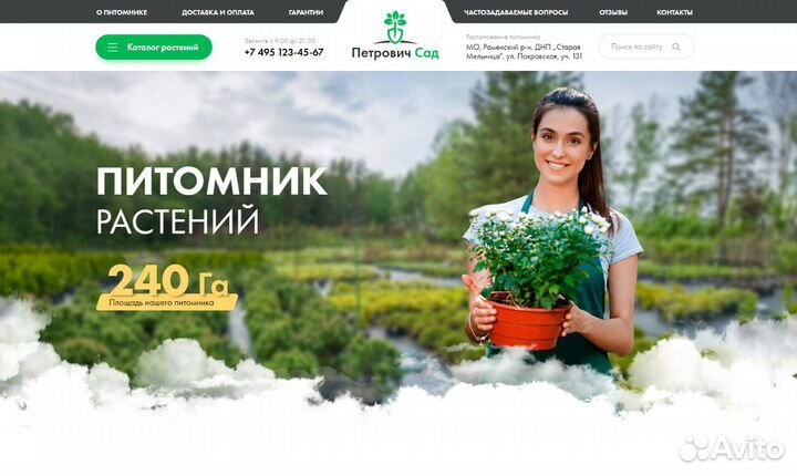 Продажа саженцев,взрослые деревья,Крупномеры оптом