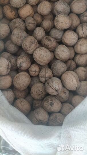 Грецкий орех в скорлупе