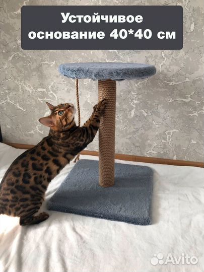 Когтеточка с лежанкой