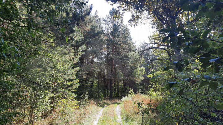 Участок 3,8 га (СНТ, ДНП)