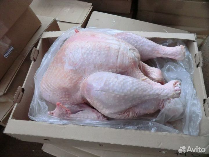 Продам мясо говядина