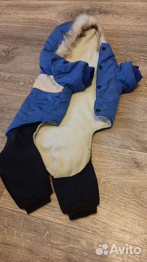 Одежда для маленьких собак