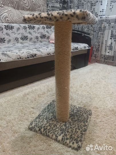 Когтеточка