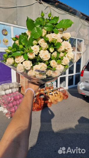 Кустовая роза оптом из армении