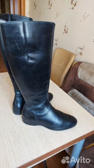 Сапоги женские