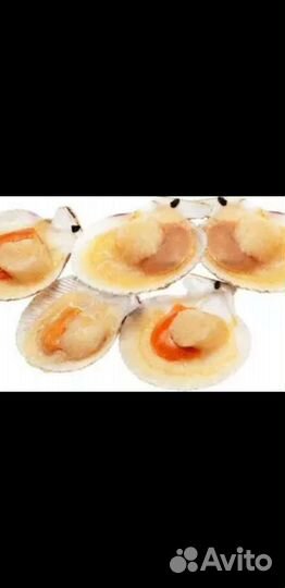 Гребешок на половине раковины с икрой 10/13 1кг