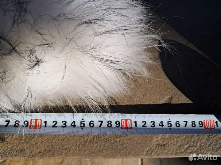 Меховой воротник из енота