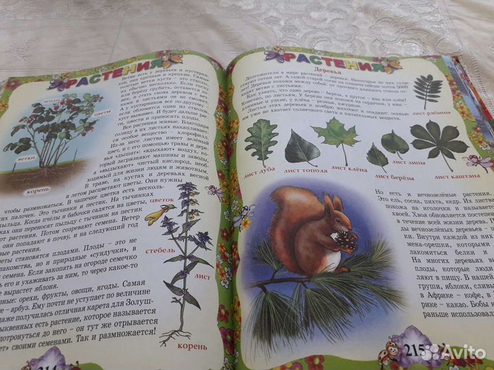 Детская энциклопедия дошкольника